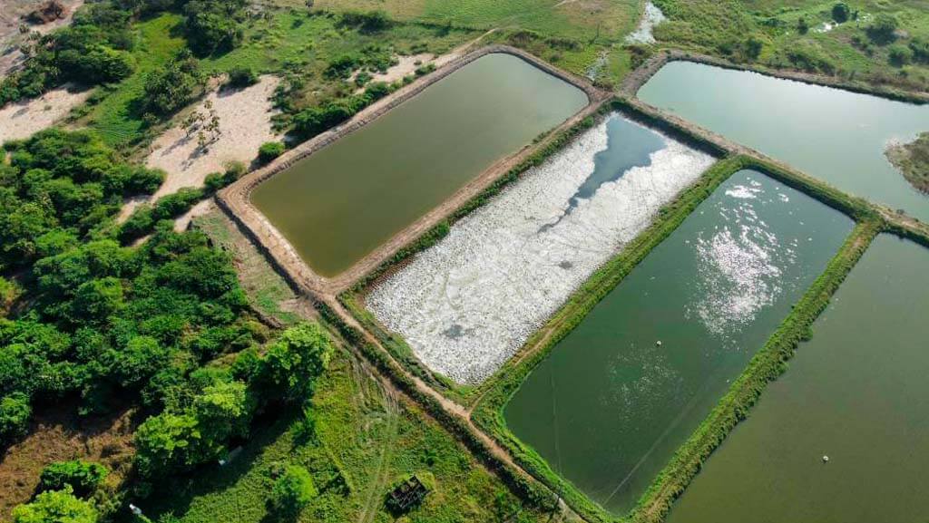 Vista aerea de campo de cultivo