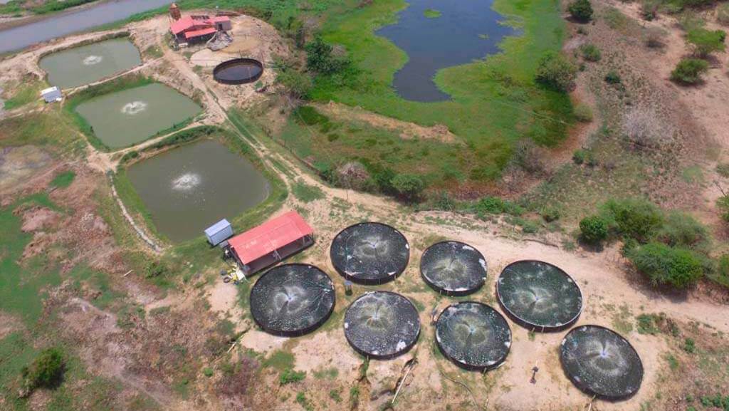 Vista aerea de campo de cultivo